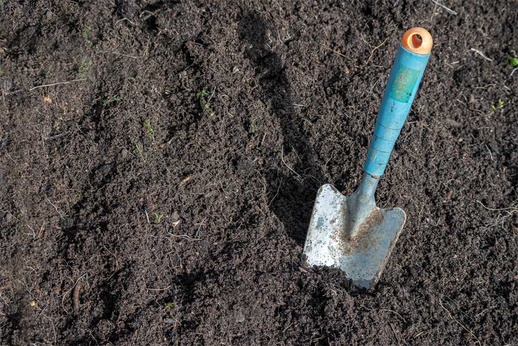 Land Service