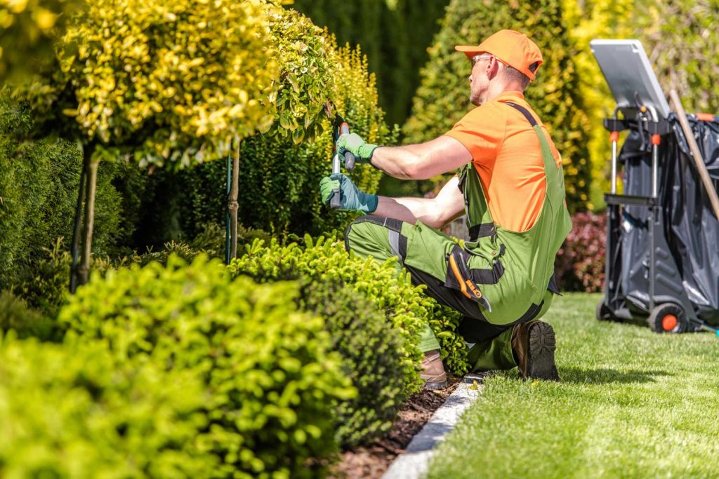 Landscaping contractor