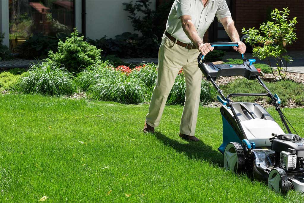 Lawn Care Maintenance