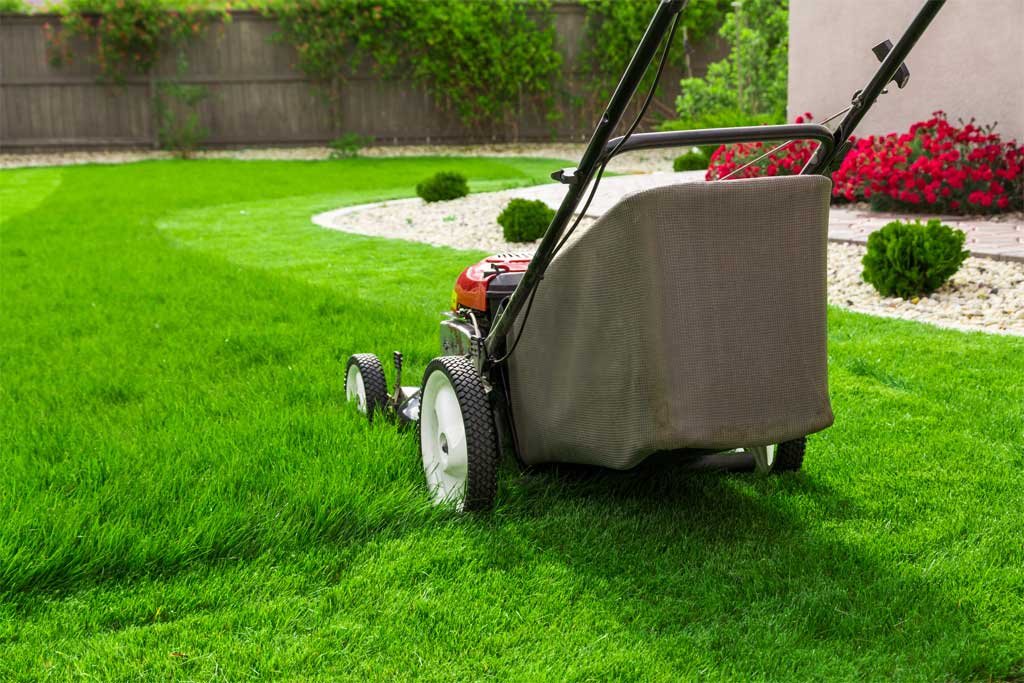 Yard Services